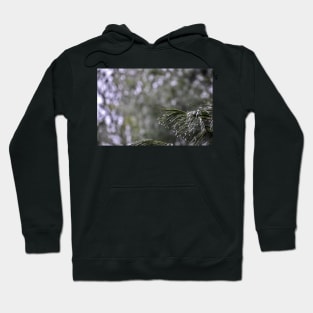 Pine Branch Border Hoodie